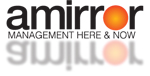 Amirror Ltd.